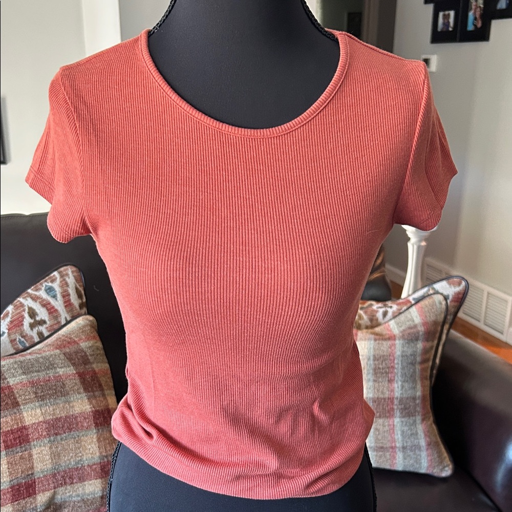 American Eagle Outfitters Rust Short Sleeve Tee